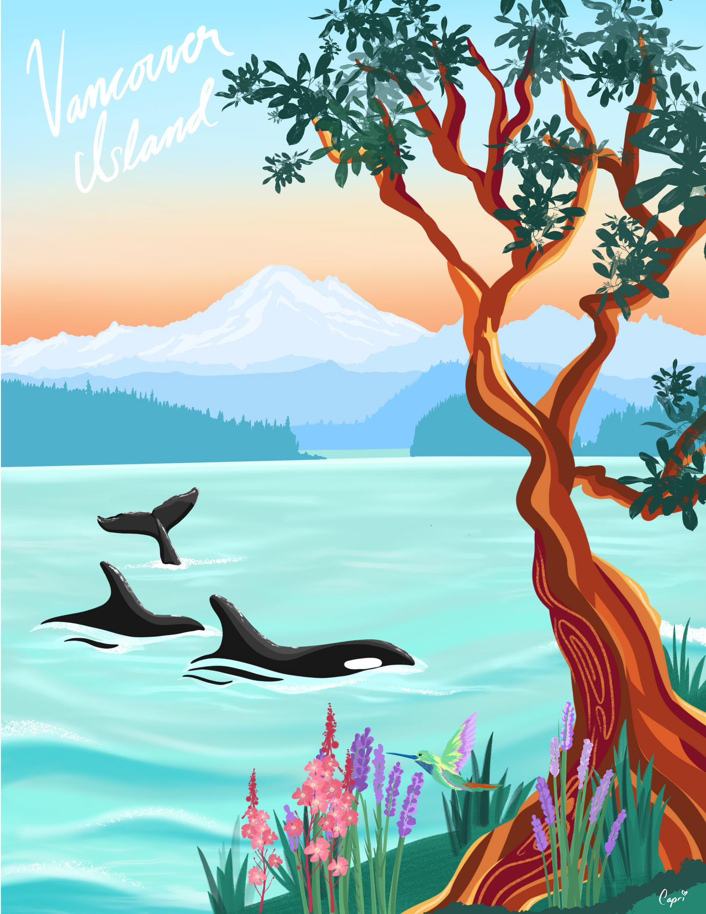 Vancouver Island Art Print